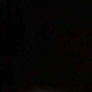 Meet your Posher, Braulio